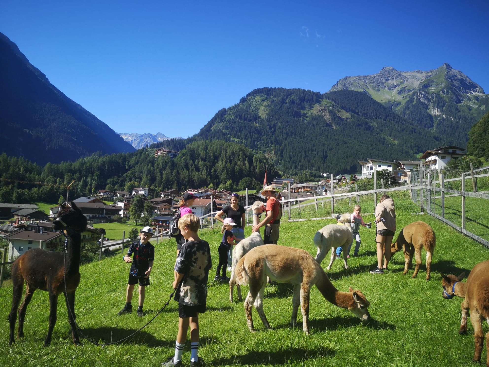 Die Superhenne Hanna besucht den RamerhofBei strahlendem Sonnenschein durfte die Bibliothek Fink....