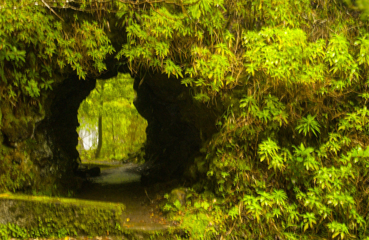 Entlang der Levadas erwacht die Insel zu neuem Leben – Schritt für Schritt.
#levadawandern #naturerleben
