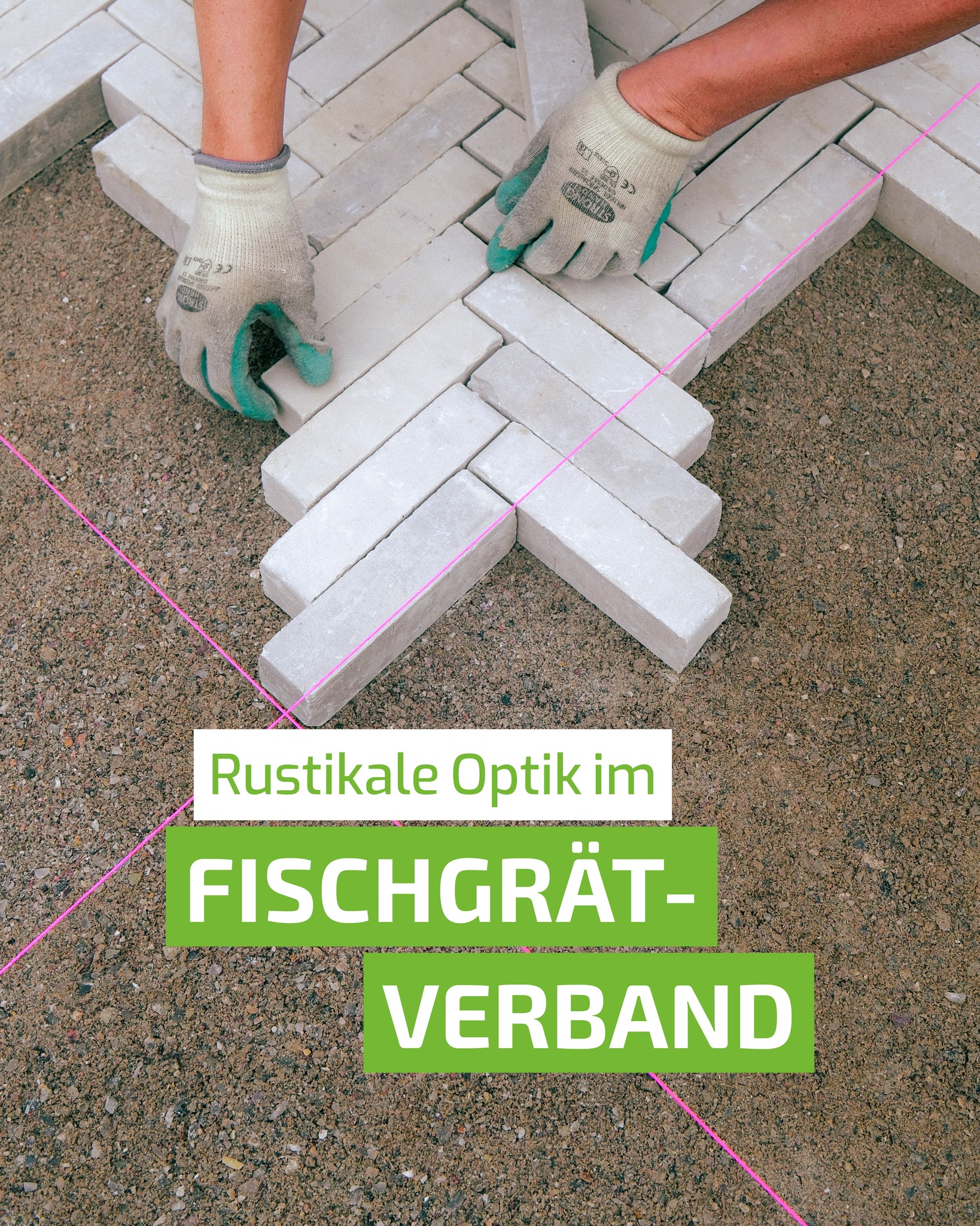 🐟🧱 Ein Muster, bei dem es auf jeden Stein ankommt.
Wir haben für eine Auffahrt grauen Pflasterklinker im getrommelt-antiken Look im Fischgrätverband verlegt. Das ist ein Verband, der nicht nur optisch etwas hermacht, sondern vor allem eine saubere und präzise Ausführung verlangt. 📐
Richtschnüre und Bauwinkel helfen dabei, die Natursteine exakt auszurichten. Sie werden im wechselnden 90-Grad-Winkel verlegt. So entsteht dann Schritt für Schritt das typische Fischgrätmuster. 🐟
Würdest du dich für diesen Verband entscheiden? 👇Schreibs in die Kommentare!
