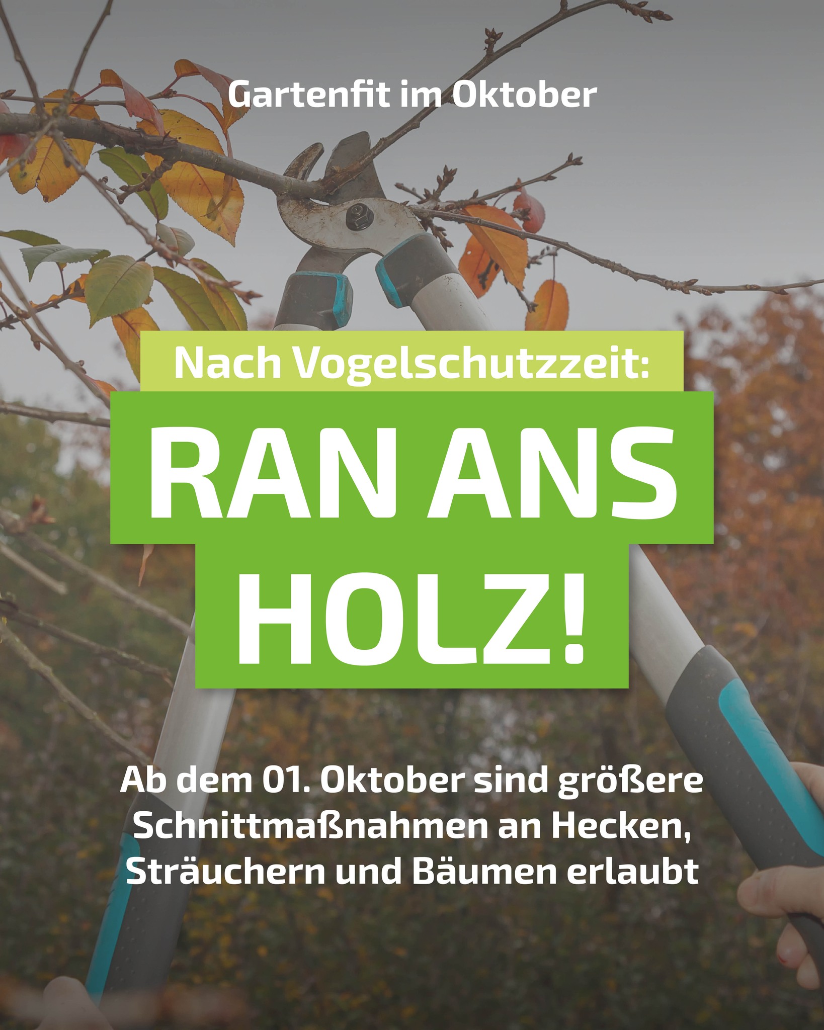 Die riesige Kirschlorbeerhecke im Garten? Die kannst du jetzt ordentlich zurückschneiden!
Auch wenn die Vogelschutzzeit jetzt vorbei ist: achte weiterhin auf Tiere, die in deinen Gehölzen leben 🐦
Wir geben dir jeden Monat neue Gartentipps und Tricks, um deinen Garten in Top-Form zu halten 🌿 Folge uns, um es nicht zu verpassen!
#gartenpflege #sägen #heckschneiden #gartentipps