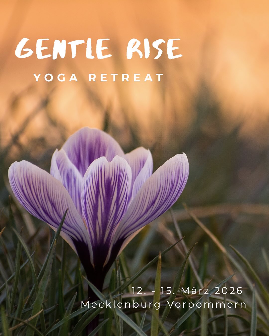Gentle Rise Yoga Retreat · 12.-15. März 2026 🪷 Ich freue mich riesig mein nächstes Retreat im wunderschönen @n…
