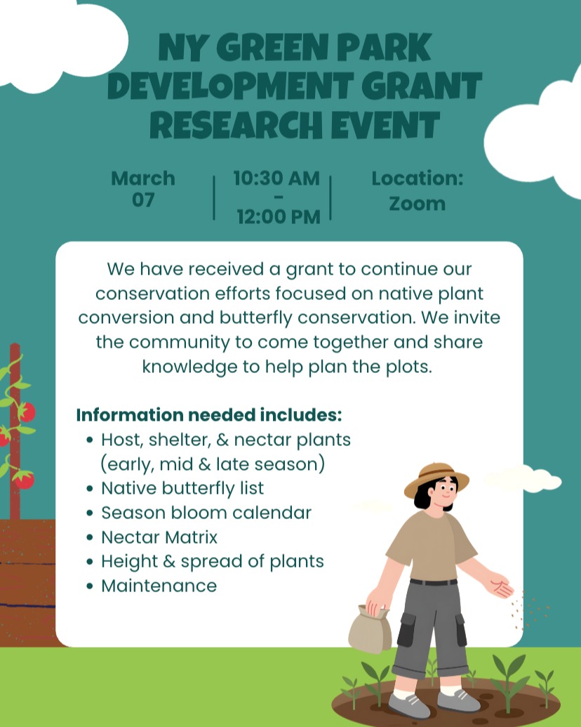 We are absolutely thrilled to share that we have received the New York Green Park Development Grant!
This generous support allows us to continue and expand our efforts to transform our garden into a native-plant landscape that protects butterflies and other essential pollinators.
Through increasing native plantings, we hope to create healthier habitats, strengthening biodiversity, and build a more sustainable green space for our entire community to enjoy.
To kick off this exciting next phase, we are hosting a collaborative planning event on March 7th. We invite experts and community partners to join us for an engaging brainstorming session as we envision and design the garden plots.
Your insights and expertise will help shape and promote green spaces in an urban area.
Please join us via Zoom on March 7th to share your ideas, connect with fellow advocates, and help us bring this vision to life!
Zoom link in bio
