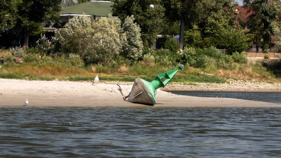 Halbzeit, Niedrigwasser und versunkene Boote.
🏊♂️ Niedrigwasser legt die Donau frei – Dresdner Extremschwimmer erlebt Europas Krisenfluss aus nächster Nähe
Seit über 30 Tagen schwimmt Dr. @joseph___hess durch Europas zweitlängsten Fluss. Als Journalist und Filmemacher begleite ich und @javiersobremazas die Expedition abschnittsweise mit der Kamera.
Während Europas zweitlängster Fluss wegen extremer Trockenheit Schlagzeilen schreibt, ist einer bereits seit mehr als einem Monat mittendrin: Der Dresdner Langstreckenschwimmer Dr. Joseph Heß hat auf seinem Weltrekordversuch, von der Quelle bis zur Mündung, bereits über 1.400 Kilometer der Donau zurückgelegt – täglich bis zu zwölf Stunden im Wasser - schwimmend. Damit ist die Halbzeitmarke überschritten.
Das außergewöhnliche Projekt zeigt die Folgen des historischen Niedrigwassers aus einer Perspektive, die sonst kaum jemand erlebt. Inseln tauchen auf, die normalerweise unter Wasser liegen, Seitenarme trocknen aus, alte Schiffswracks werden sichtbar. Gleichzeitig kämpfen Atomkraftwerke in Ungarn und Rumänien mit der Kühlung ihrer Reaktoren – die Donau ist derzeit eines der großen europäischen Umweltthemen.
Joseph Heß hat inzwischen Wien, Bratislava, Budapest und Belgrad schwimmend passiert. Eine der größten Herausforderungen war ausgerechnet die serbische Hauptstadt: Belgrad verfügt bis heute über keine zentrale Kläranlage. Millionen Liter Abwasser gelangen täglich in die Donau.
Aus Sorge vor gesundheitlichen Einschränkungen durch die massive Verschmutzung verzichtete Heß auf diesem Abschnitt für wenige Kilometer auf das Schwimmen und legte die Strecke auf seinem Stand-up-Paddle-Board zurück, das er sonst lediglich als Sicherheits- und Pausenplattform mitführt.
#donau #donauschwimmer #filmmaking