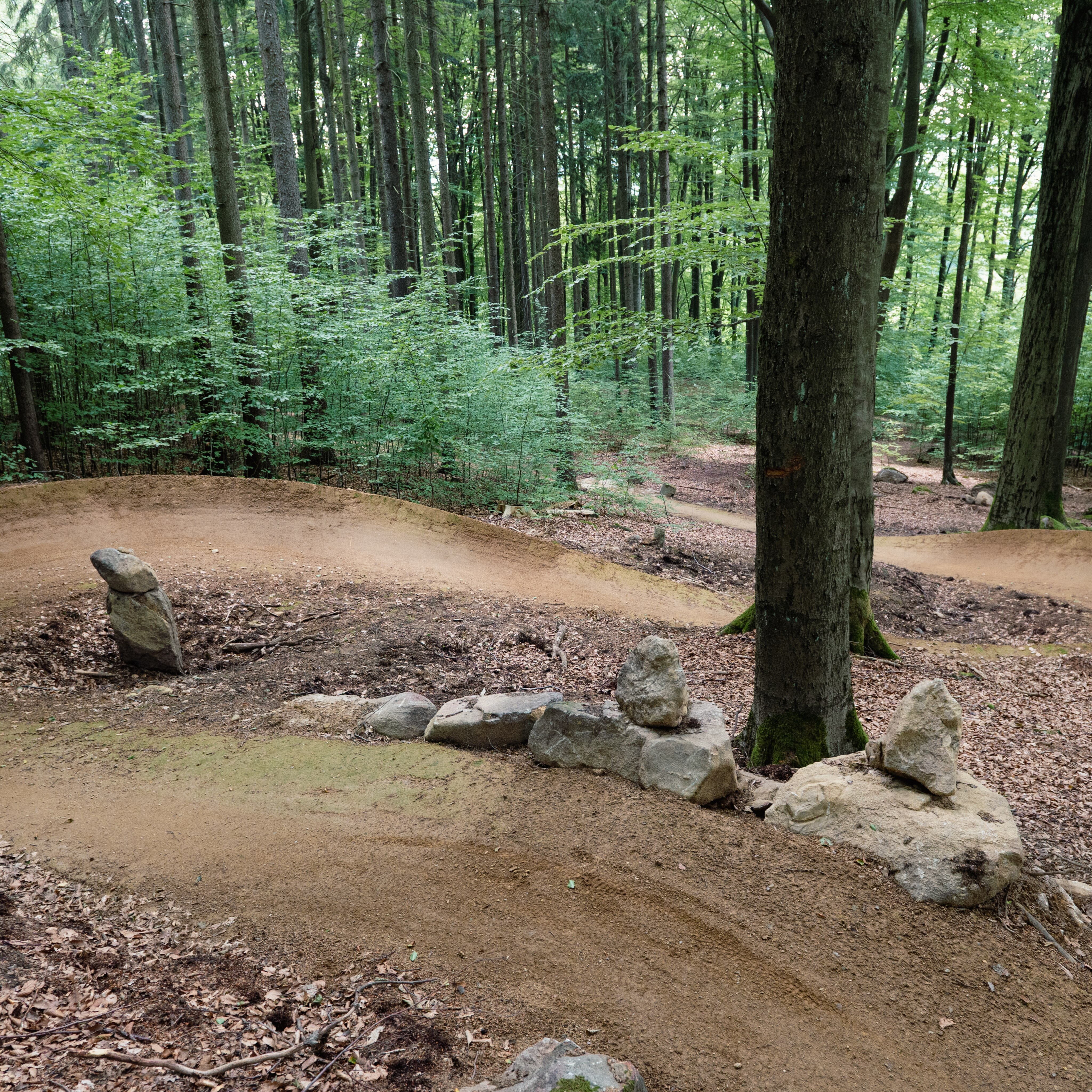 Für das @bike.magazin habe ich dem neuen Trailpark in der sächsisch-böhmischen Schweiz einen Besuch abgestattet. Der Name verspricht es schon „Borderless Trails“ @borderlesstrails.bike , ein grenzüberschreitendes Bikeangebot. Doch Achtung, wer die zukünftigen 15 Trails fahren möchte, benötigt einiges an Kondition oder kommt gleich mit dem E-Bike. Denn die ca 32 Km haben es in sich und überwinden crica 160 Höhenmeter pro Abfahrt. Noch ist nicht alles fertig, aber vor allem auf tschechischer Seite sind schon Trails befahrbar.
Gute Einstiegspunkte sind das SoliVital in @sebnitz.de und die Teiche nähe Bahnhof in @dolnipoustevna .
Wie es zum Park kam: dazu lest ihr mehr im Artikel: https://www.bike-magazin.de/touren/europa/borderless-trails-im-boehmischen-wald-auf-deutscher-seite-wird-nun-geschaufelt/
.
Mit dabei waren @kurt.727 Vendula und auch @ingo.loth haben wir getroffen.
.
#mountainbike #mtb #bike #bikemagazin #borderlesstrails
