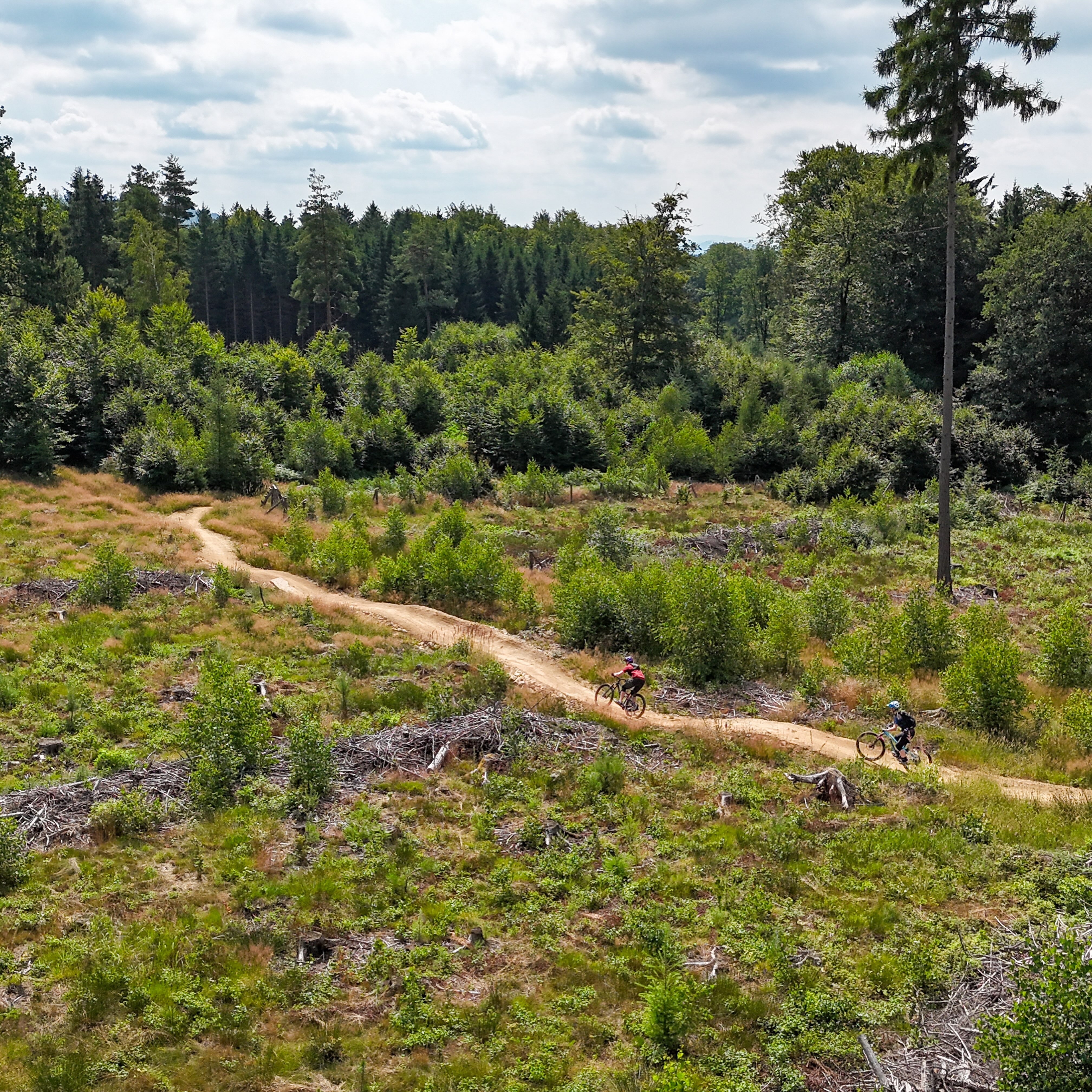 Für das @bike.magazin habe ich dem neuen Trailpark in der sächsisch-böhmischen Schweiz einen Besuch abgestattet. Der Name verspricht es schon „Borderless Trails“ @borderlesstrails.bike , ein grenzüberschreitendes Bikeangebot. Doch Achtung, wer die zukünftigen 15 Trails fahren möchte, benötigt einiges an Kondition oder kommt gleich mit dem E-Bike. Denn die ca 32 Km haben es in sich und überwinden crica 160 Höhenmeter pro Abfahrt. Noch ist nicht alles fertig, aber vor allem auf tschechischer Seite sind schon Trails befahrbar.
Gute Einstiegspunkte sind das SoliVital in @sebnitz.de und die Teiche nähe Bahnhof in @dolnipoustevna .
Wie es zum Park kam: dazu lest ihr mehr im Artikel: https://www.bike-magazin.de/touren/europa/borderless-trails-im-boehmischen-wald-auf-deutscher-seite-wird-nun-geschaufelt/
.
Mit dabei waren @kurt.727 Vendula und auch @ingo.loth haben wir getroffen.
.
#mountainbike #mtb #bike #bikemagazin #borderlesstrails