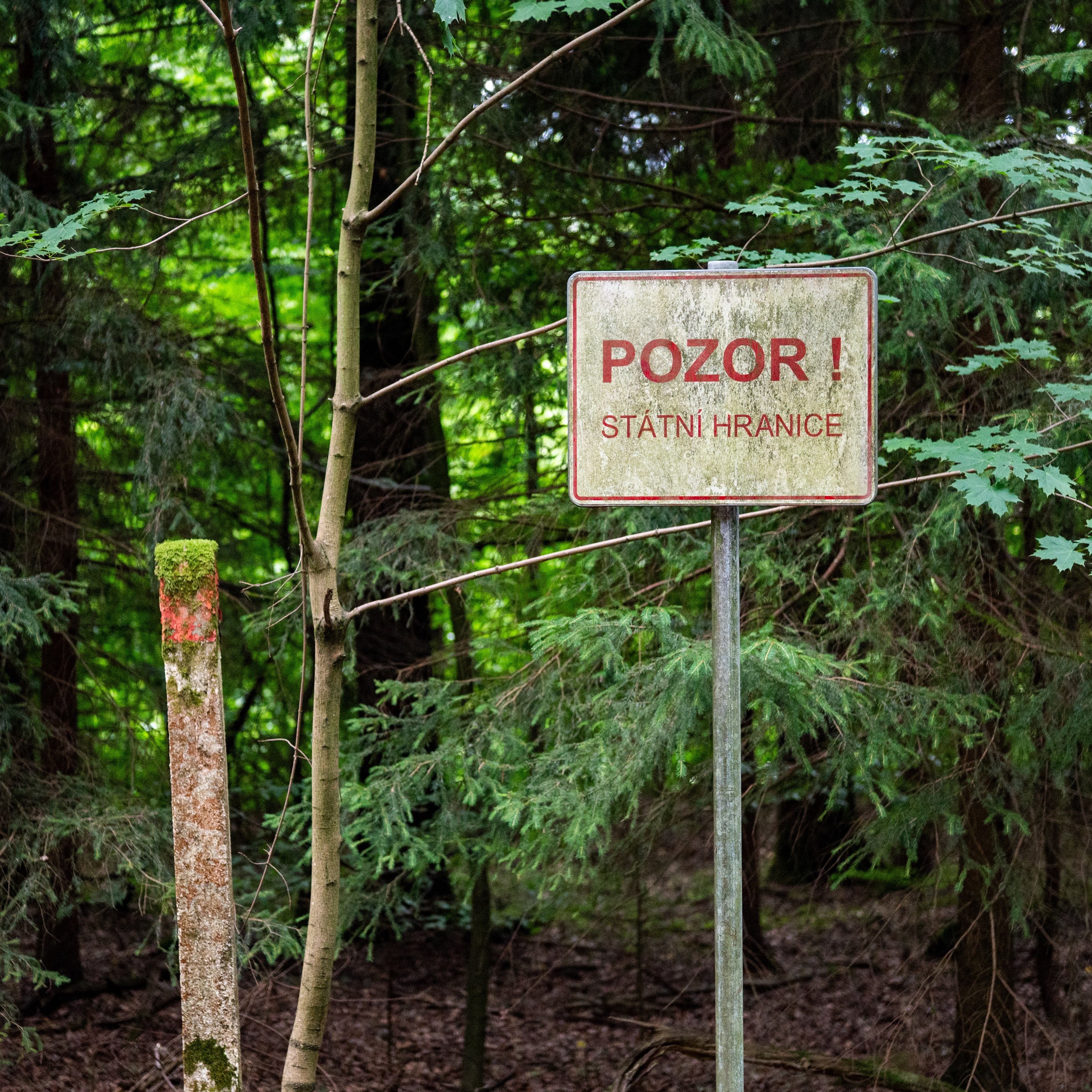 Für das @bike.magazin habe ich dem neuen Trailpark in der sächsisch-böhmischen Schweiz einen Besuch abgestattet. Der Name verspricht es schon „Borderless Trails“ @borderlesstrails.bike , ein grenzüberschreitendes Bikeangebot. Doch Achtung, wer die zukünftigen 15 Trails fahren möchte, benötigt einiges an Kondition oder kommt gleich mit dem E-Bike. Denn die ca 32 Km haben es in sich und überwinden crica 160 Höhenmeter pro Abfahrt. Noch ist nicht alles fertig, aber vor allem auf tschechischer Seite sind schon Trails befahrbar.
Gute Einstiegspunkte sind das SoliVital in @sebnitz.de und die Teiche nähe Bahnhof in @dolnipoustevna .
Wie es zum Park kam: dazu lest ihr mehr im Artikel: https://www.bike-magazin.de/touren/europa/borderless-trails-im-boehmischen-wald-auf-deutscher-seite-wird-nun-geschaufelt/
.
Mit dabei waren @kurt.727 Vendula und auch @ingo.loth haben wir getroffen.
.
#mountainbike #mtb #bike #bikemagazin #borderlesstrails